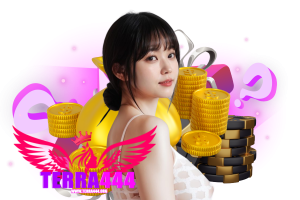 terra444 ทางเข้า