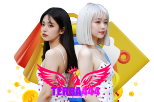 terra444 แตกง่าย